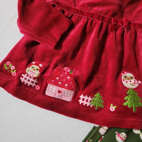 Gymboree Cozy Owl NWT 12-18 month set. Pants DEFECTIVE have fade on from sun? - Picture 2 of 2